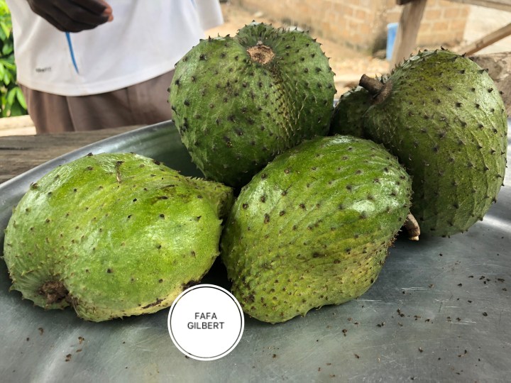 60BF72AF-5450-4AF3-BFCA-FFF9F6EFE350